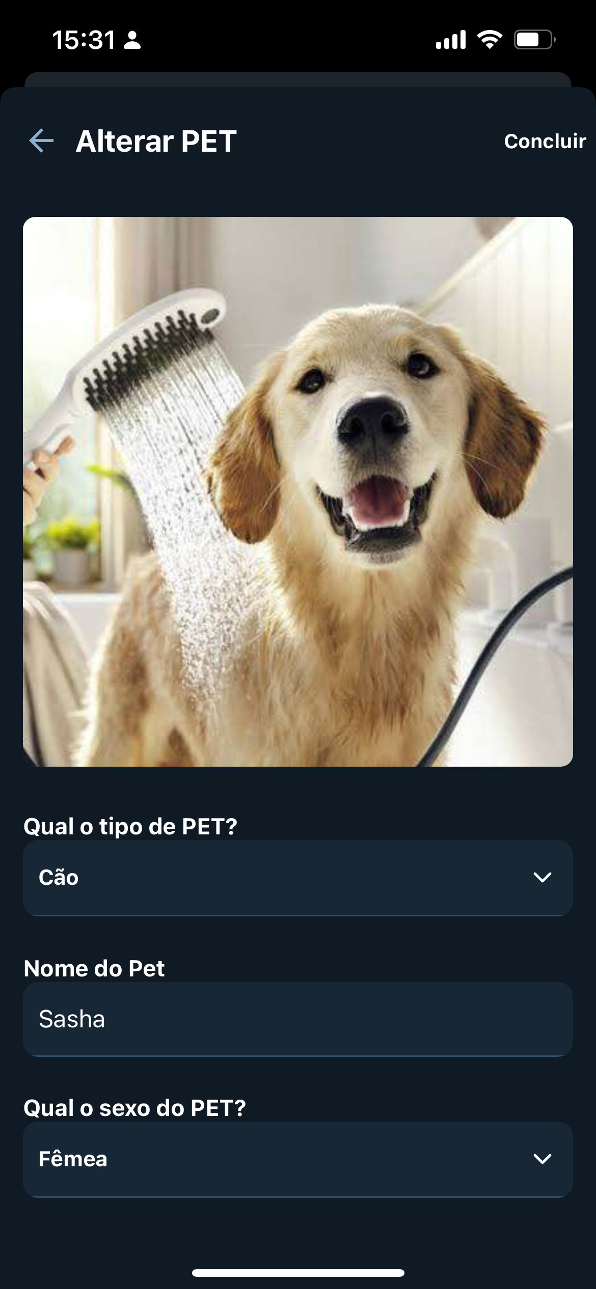Gestão de Pets